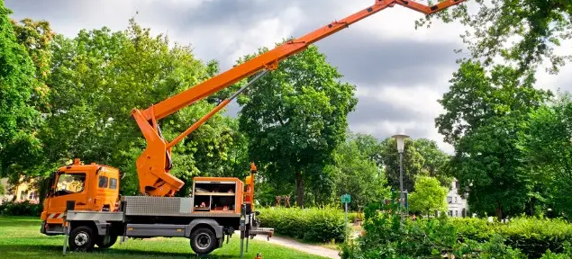 Автовежі в Україні