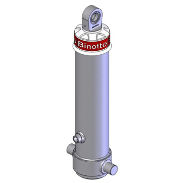Фронтальний гідроциліндр з вушком BINOTTO MF_ANT 169-5-5828-D1457